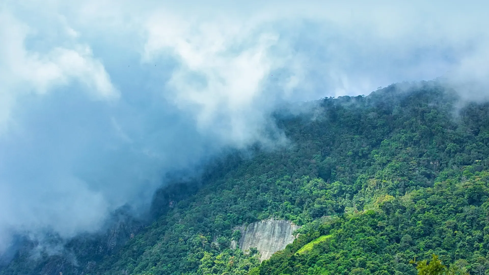 Nature April in Sri Lanka