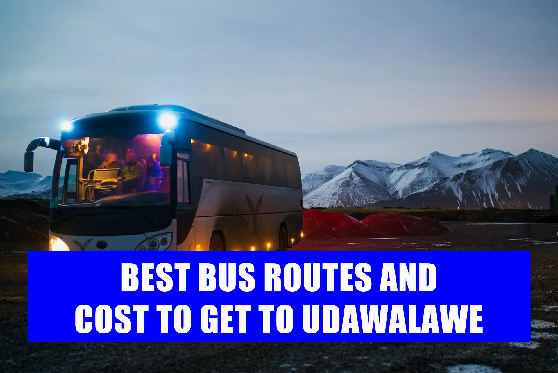 Best bus routes and cost to get to udawalawe