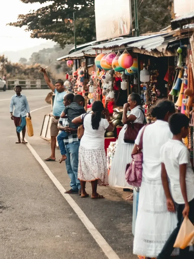 The Best Time to Visit Sri Lanka