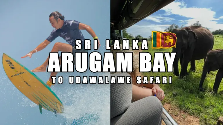 Arugam Bay to Udawalawe National Park Safari