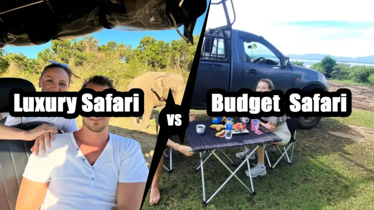 Luxury vs Budget Safari in Sri Lanka
