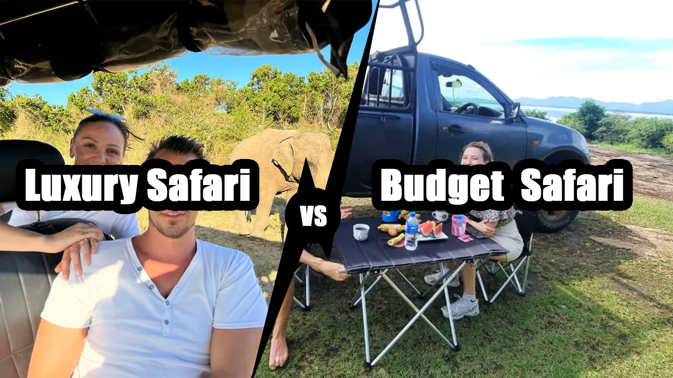 Luxury vs Budget Safari in Sri Lanka