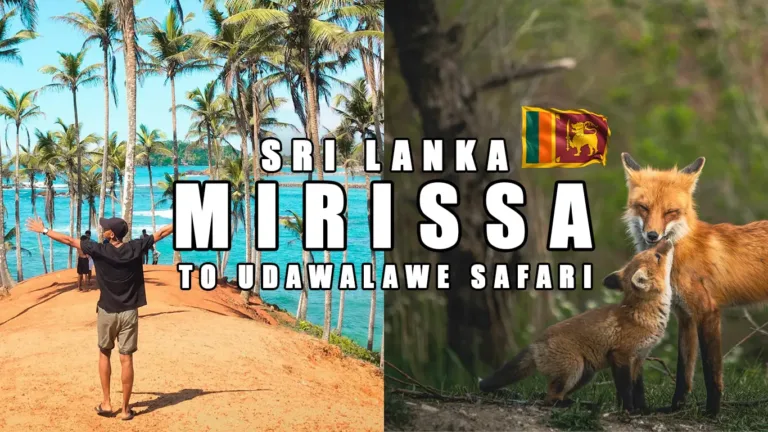 Udawalawe Safari from Mirissa