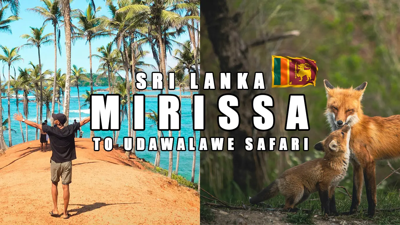 Udawalawe Safari from Mirissa