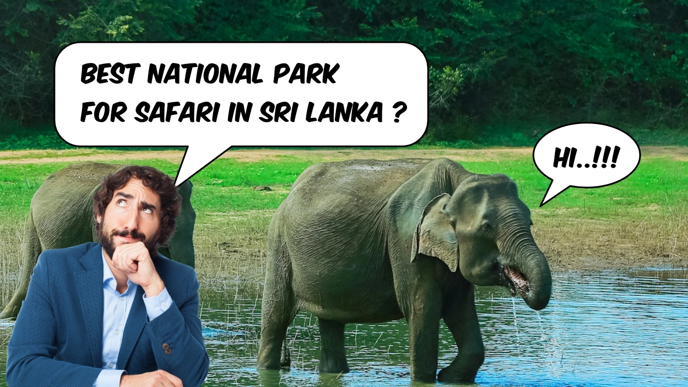 Best National Parks for Safari in Sri Lanka